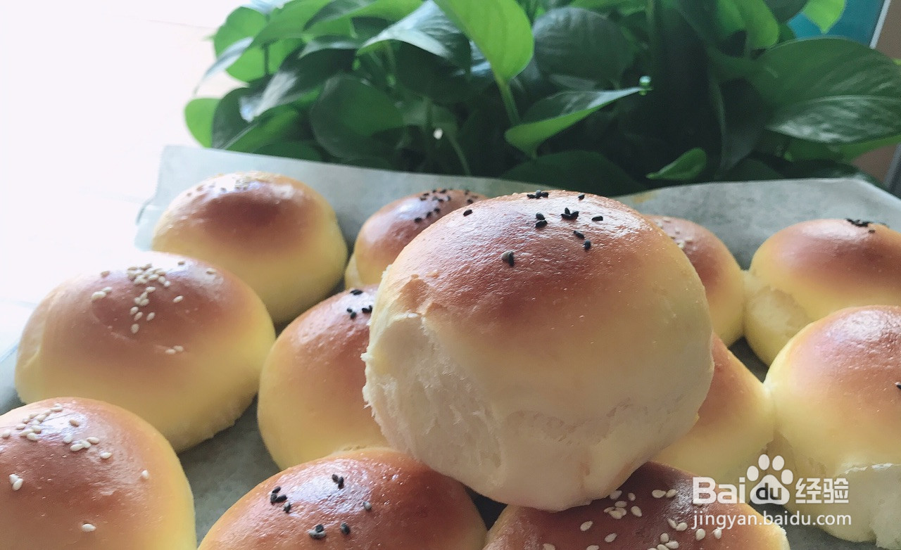 松软拉丝的牛奶小面包的做法