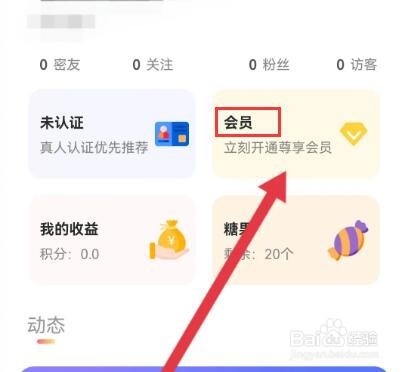 酒陌怎么开通VIP会员