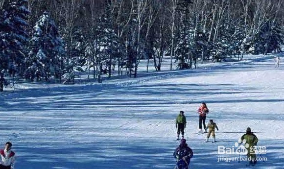初学者冬天滑雪要注意些什么?