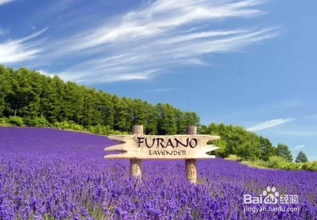 用对日本护肤品让你在北海道的夏天美如花！