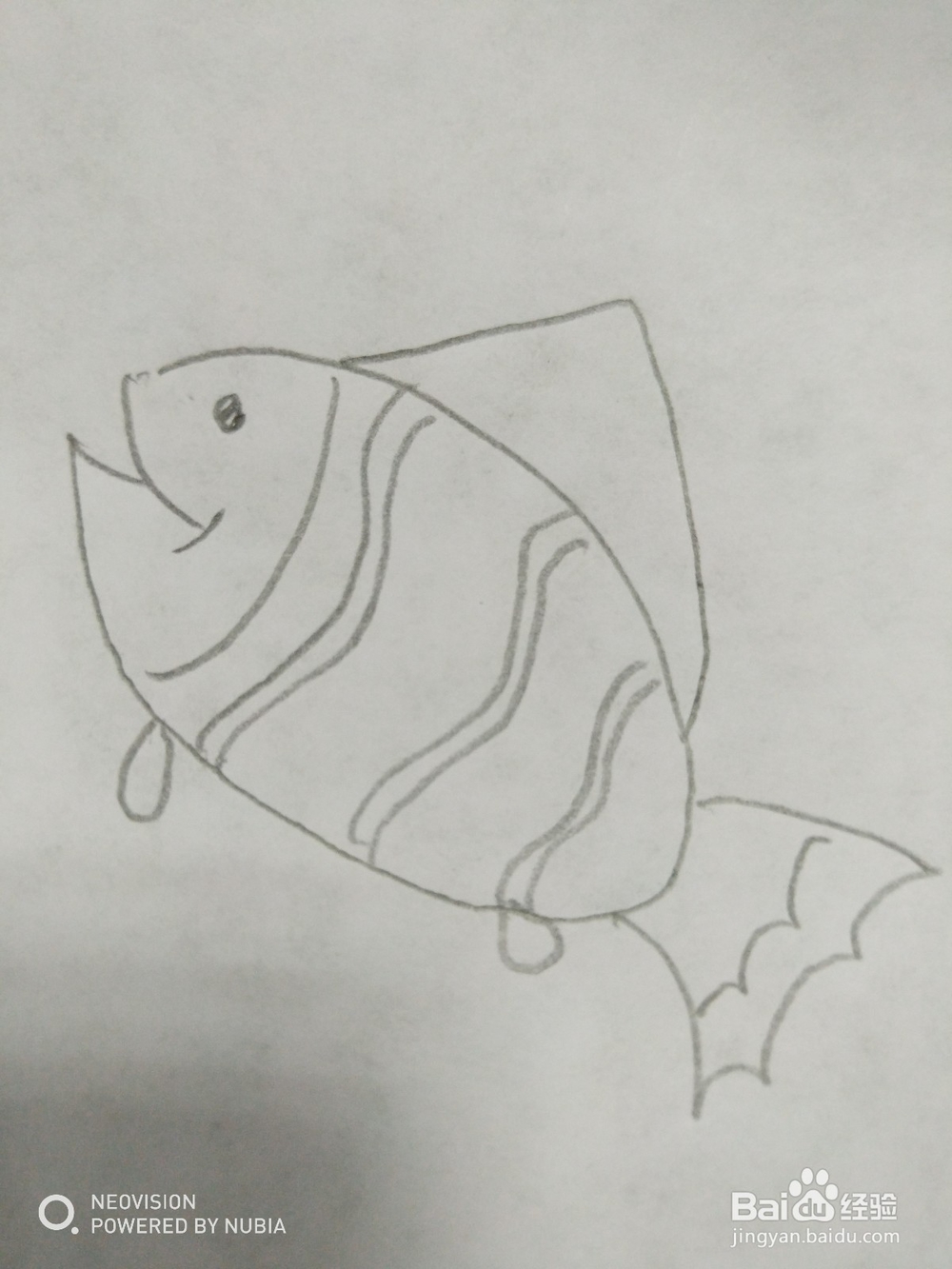 简单的小鱼怎么画（十）