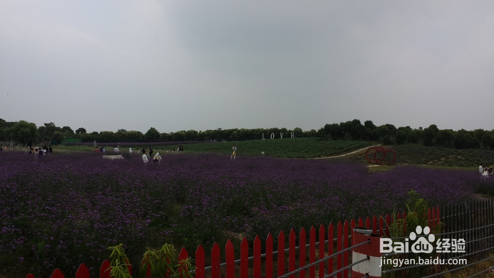 怎么处理又暗又焖的照片?