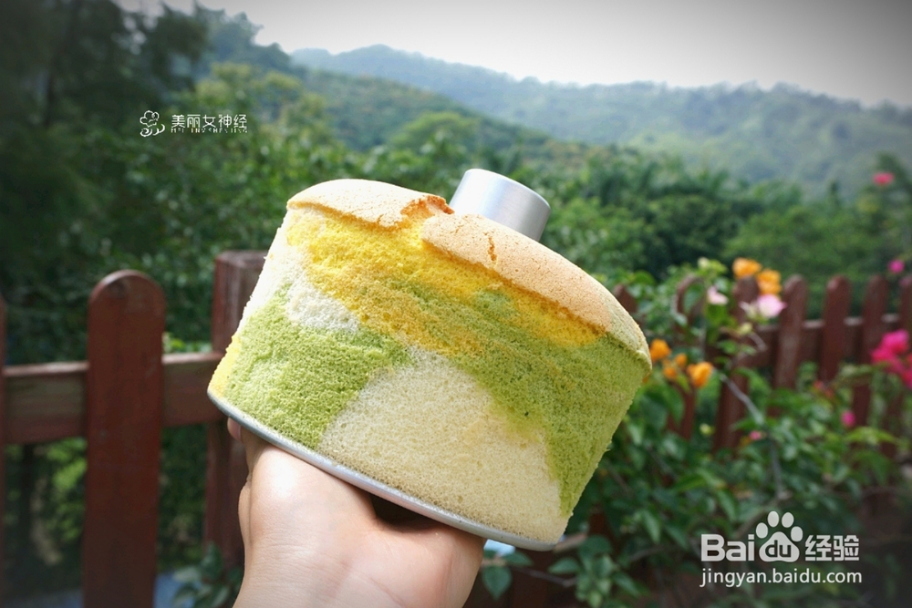赞不绝口的果蔬戚风蛋糕