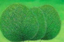 如何让自己拥有真挚的友情