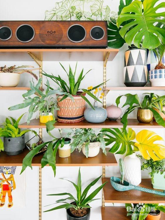 教大家如何让新装修房子如何快速减少甲醛！