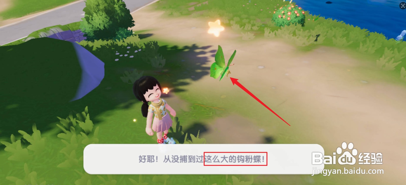 心动小镇三星虫虫捕捉攻略