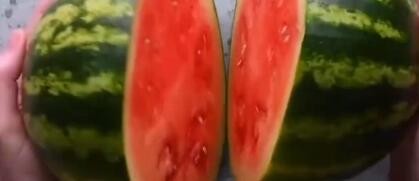 如何吃这些食品更方便？