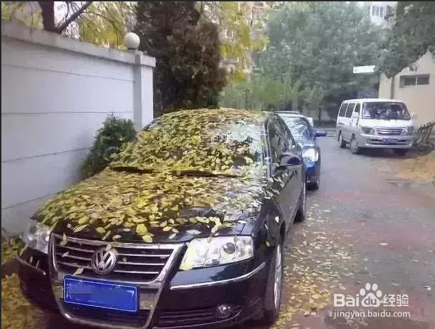 保护汽车电瓶的几点建议