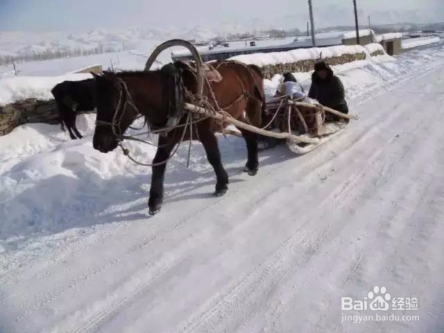 喀纳斯冬季旅游全攻略