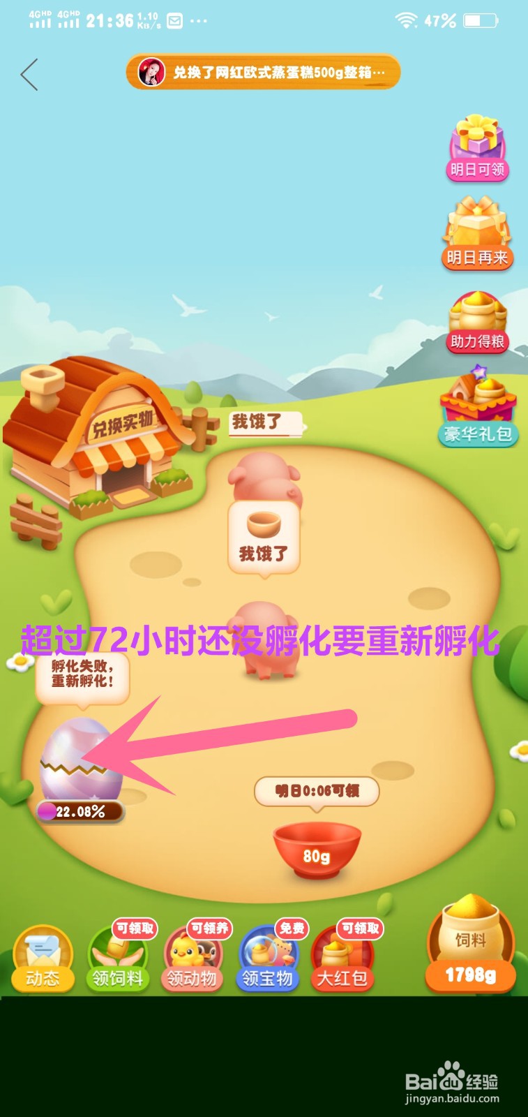 多多牧场稀有动物孵化72小时