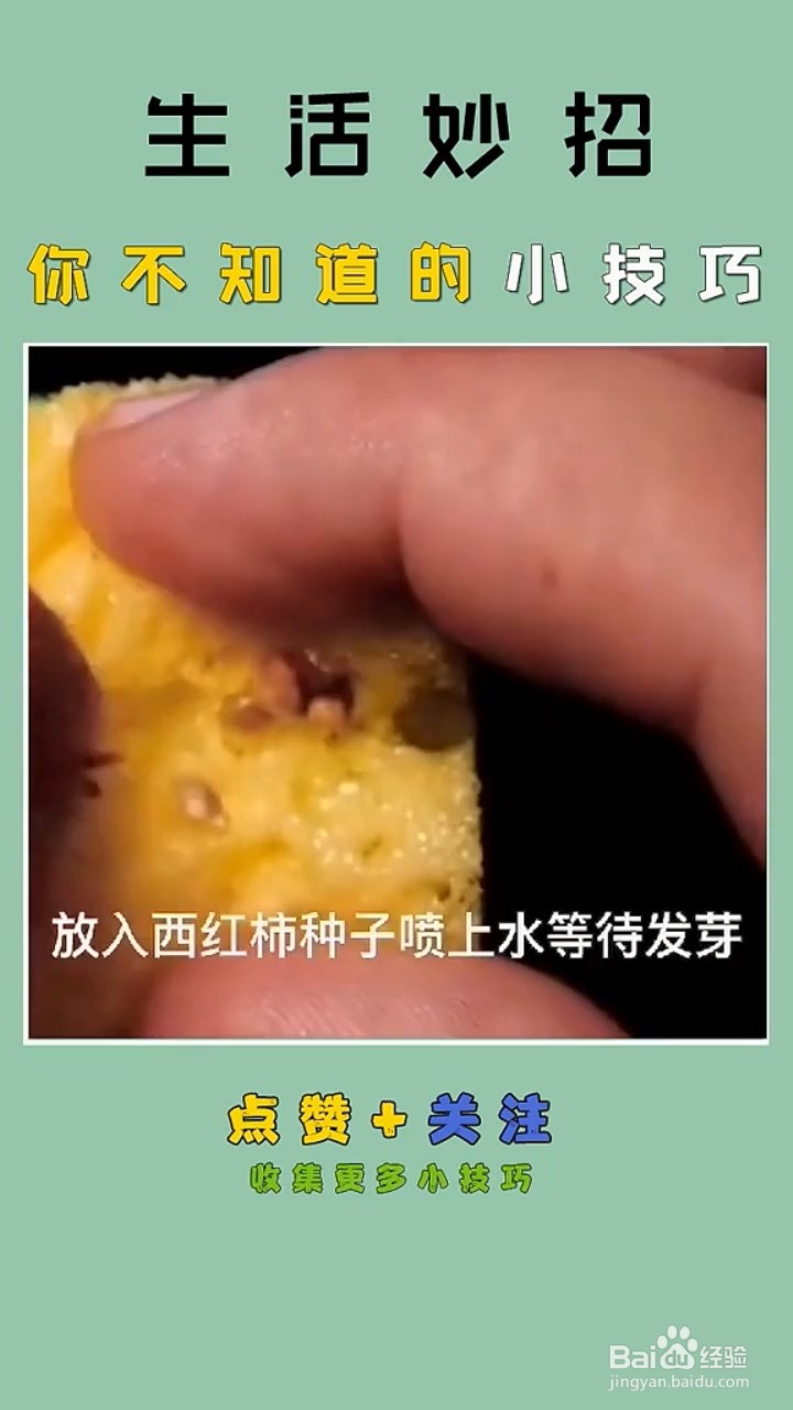 水果种植的小妙招