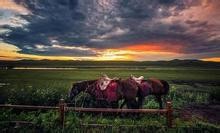 影响健康的因素