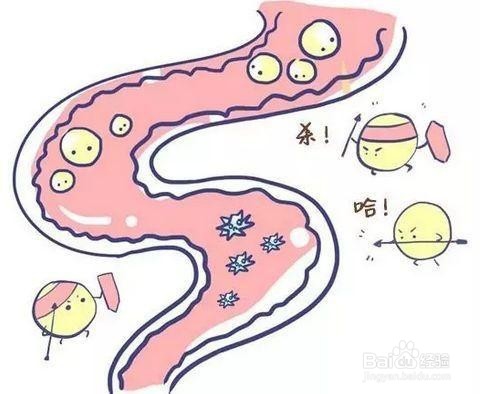 腹泻吃什么食物好这几种保护肠胃