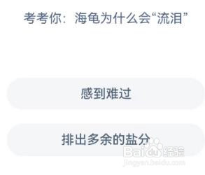 考考你：海龟为什么会“流泪”神奇海洋答案