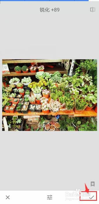 Snapseed怎么锐化图片