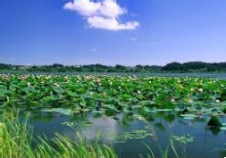 怎样做营销：[2]战略的制定