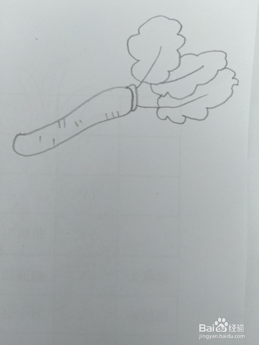 简笔画胡萝卜画法四