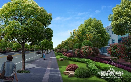 道路绿化效果图设计中植物的选择原则？