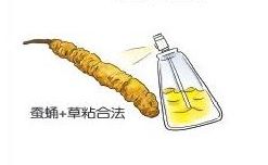 冬虫夏草回收多少钱一克合理 冬虫夏草的价格