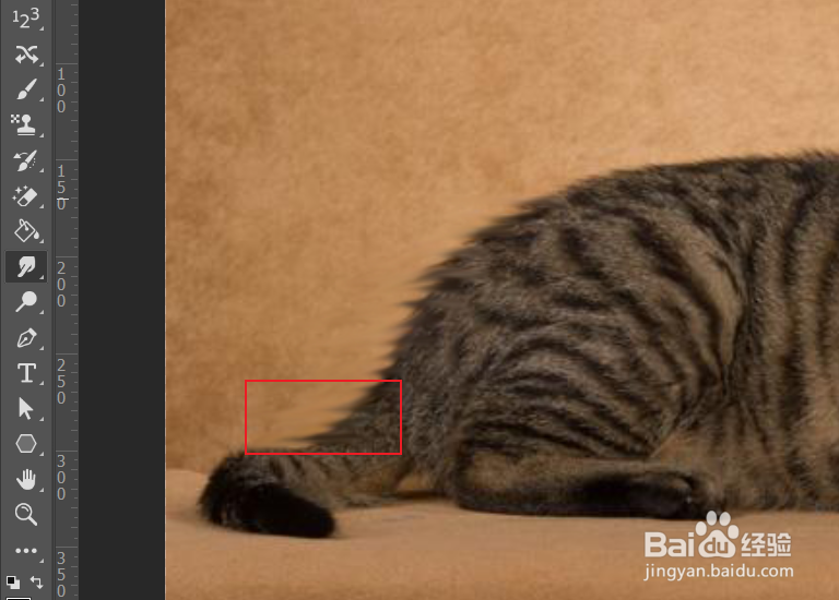 ps如何使用涂抹工具