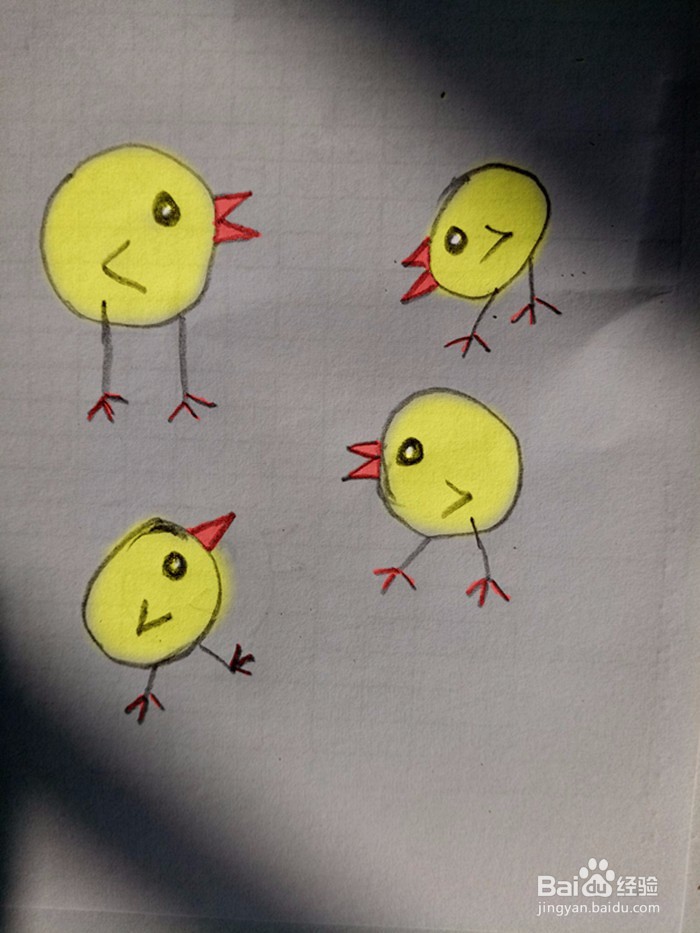 小鸡的简笔画