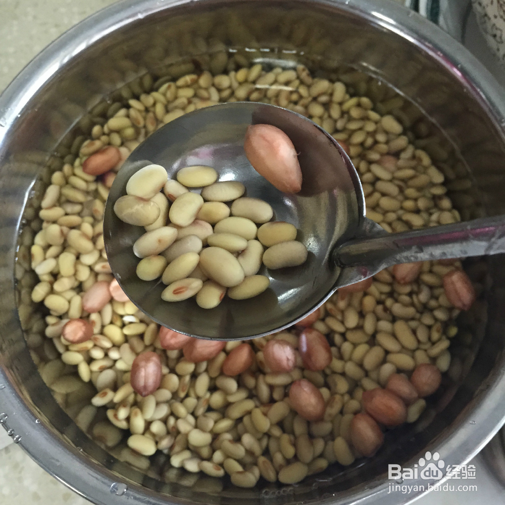 有韧性的胆水豆腐