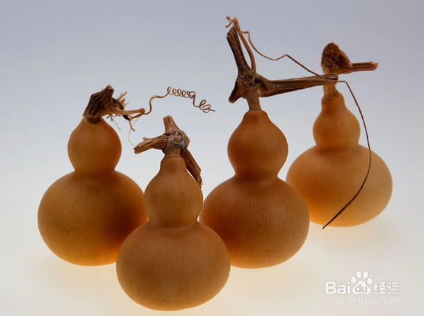 生葫芦如何制作为干葫芦