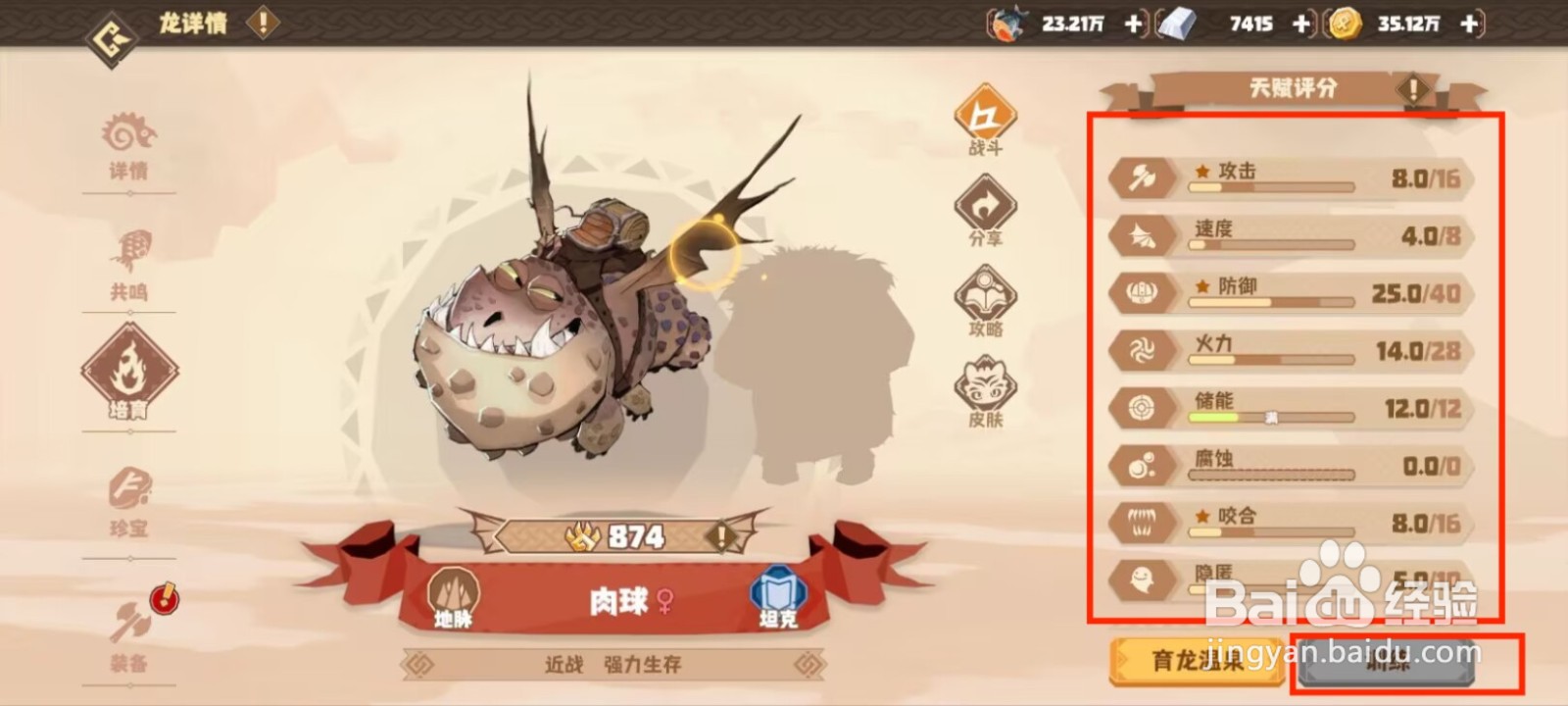 驯龙高手旅程肉球天赋评分如何进行训练？