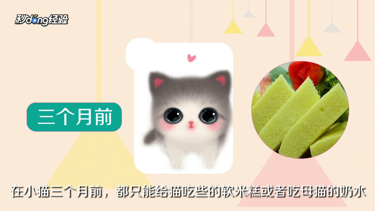 猫咪为什么呕吐没有消化的猫粮