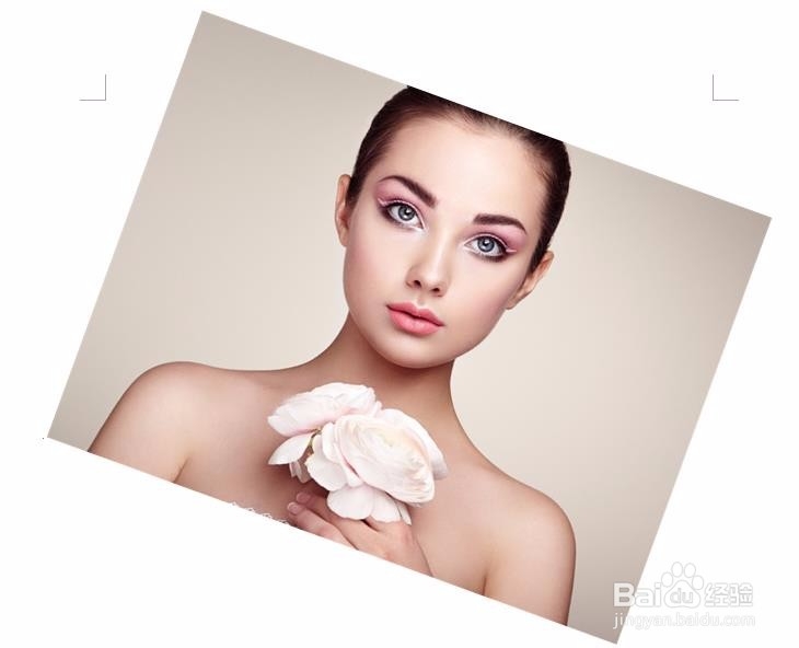 word文档中图片怎么旋转