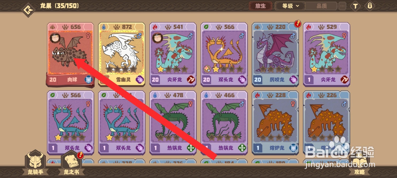驯龙高手旅程的肉球龙如何使用珍宝进阶