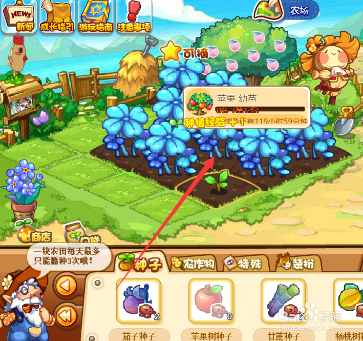 洛克王国苹果怎么得