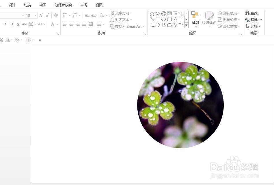 怎么用PPT设置照片形状