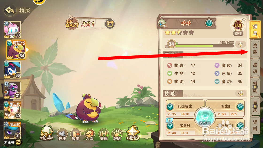 西普大陆怎么查看风系精灵哆哆的【物攻资质】？