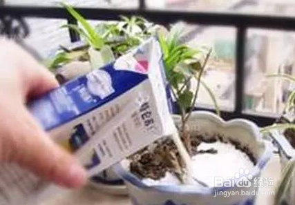 过期牛奶千万别扔