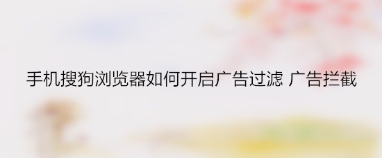 <b>手机搜狗浏览器如何开启广告过滤 广告拦截</b>