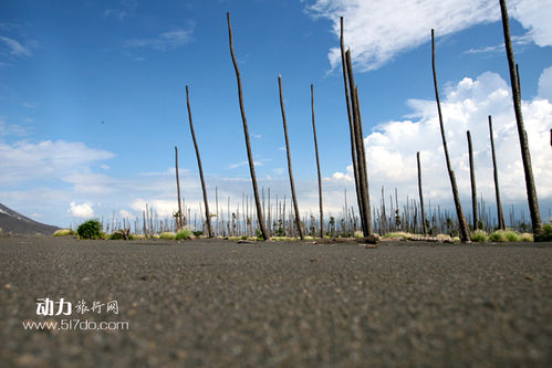 神秘巴布亚新几内亚旅游攻略