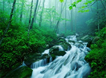 怎样预防中耳炎