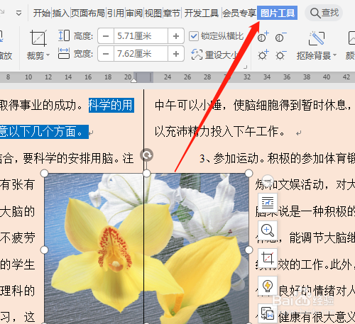 wps2019 第八课 如何设置文档中图片格式