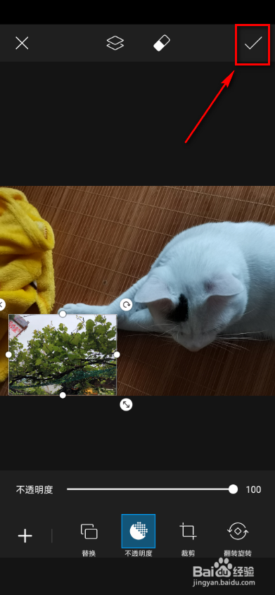 picsart如何插入照片?