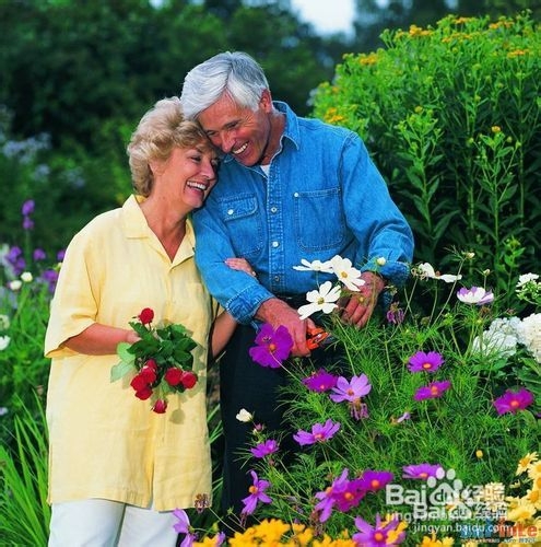 春季治疗糖尿病妙方