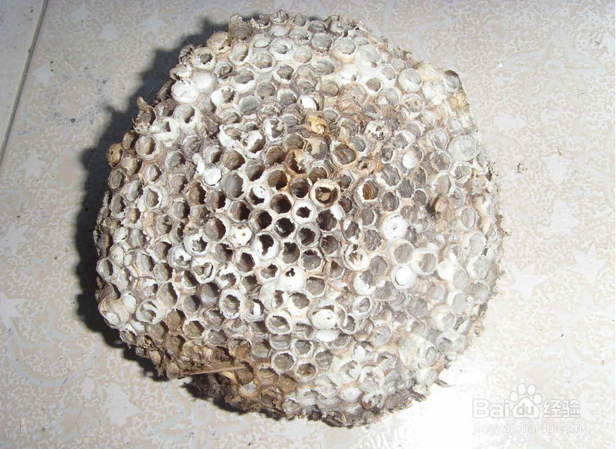 病毒性肝炎【华佗妙法】：[8]扶正清毒活血汤