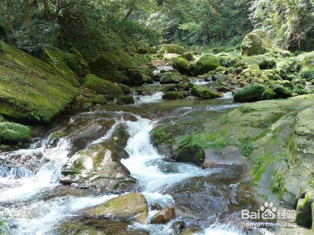 郑州到张家界自助游
