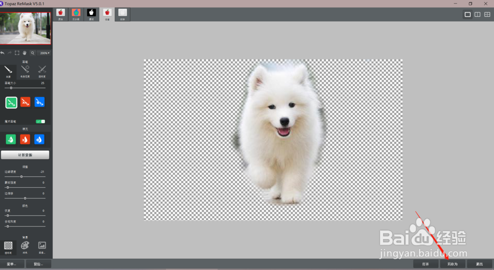 Topaz ReMask 5怎么输出透明背景图片