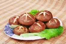 白斑病患者吃哪些食物可以增强免疫力?