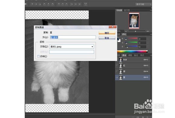 Photoshop制作星空猫图案