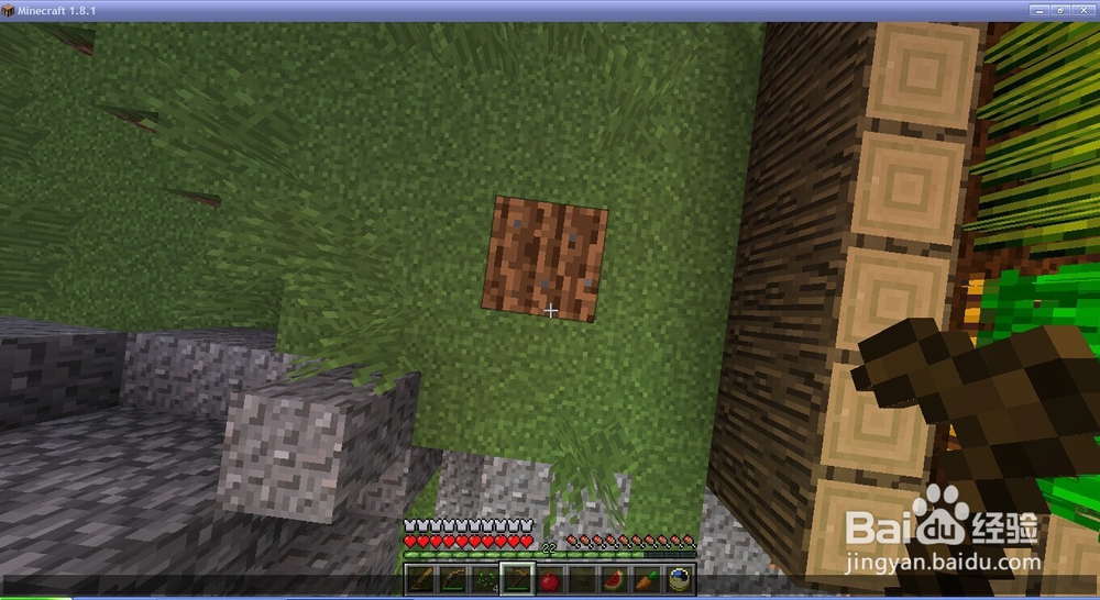 我的世界种植植物大全