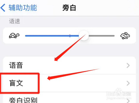 苹果旁白如何输出八点式盲文