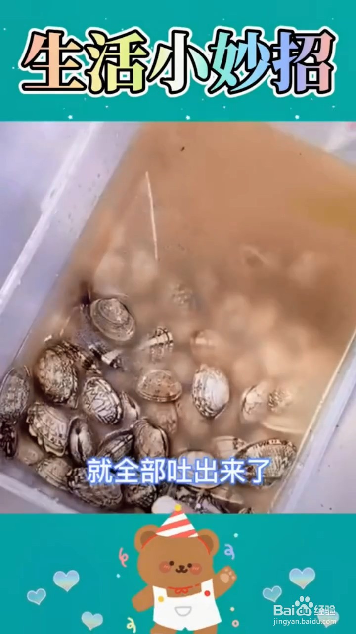 如何让花甲吐沙