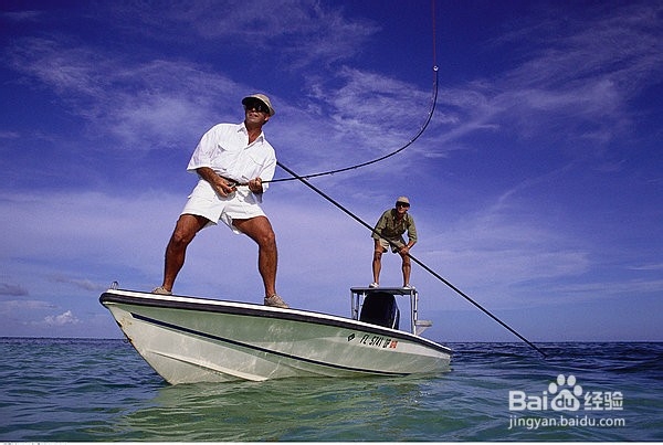 钓鱼应该怎么看鱼漂